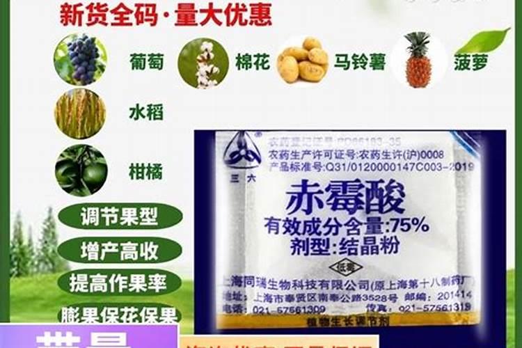 国光果动力苄氨赤霉酸的用途