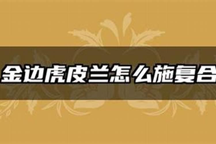 小麦专用肥都有什么牌子