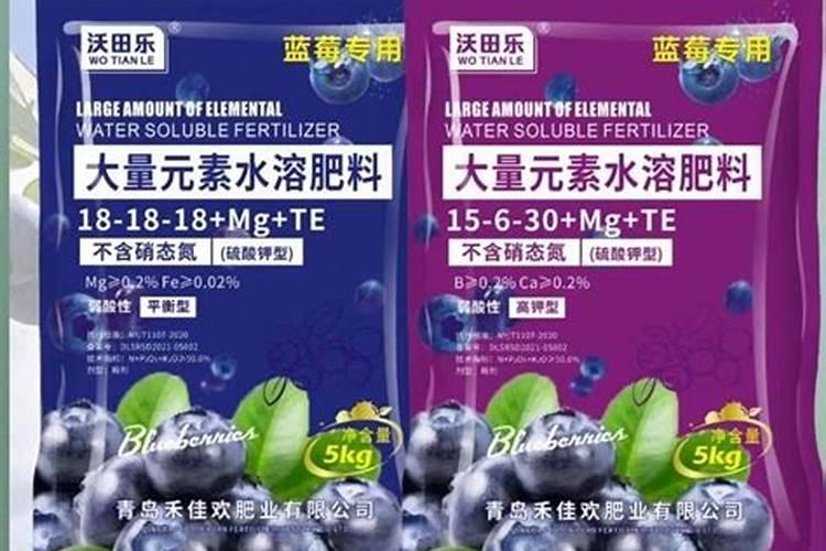 蓝莓用什么肥料最好