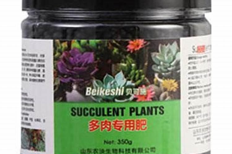 多肉可以用复合肥吗