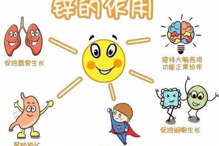 微量元素和维生素是同一概念吗？怎样区分哪些是维生素哪些是蛋白质？