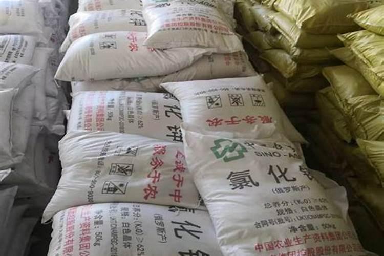 水稻苗床脱肥怎么办？