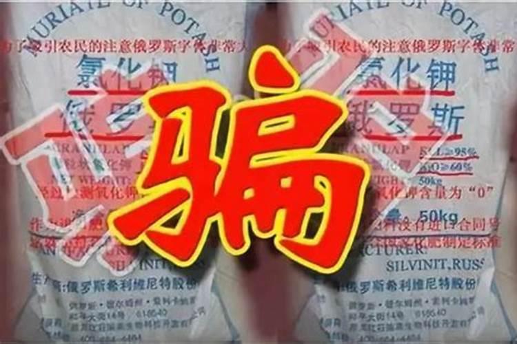 在我国行为人造假关多少年？