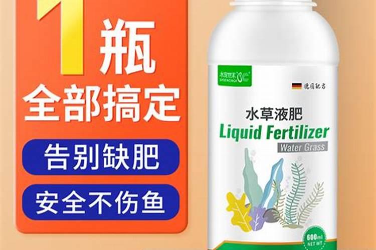 绿宫廷水草怎么养殖方法