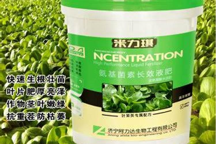 叶面肥多久用一次效果好？使用过多会有哪些危害？