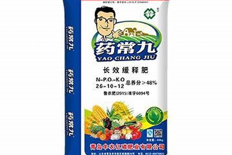长寿花夏天怎么养施什么肥