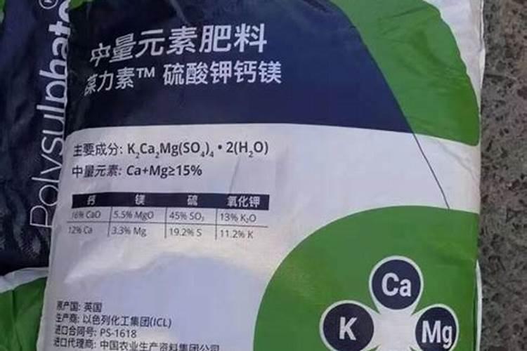 红薯苗移栽前方法