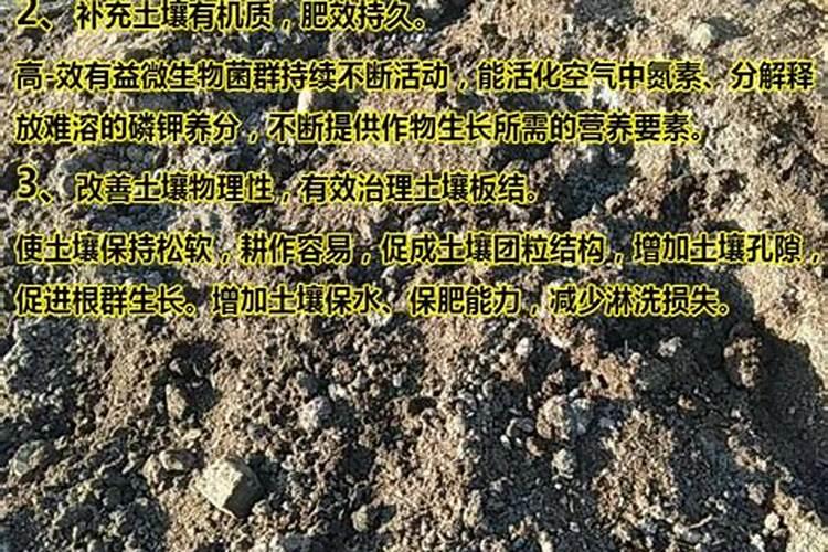 马粪可以直接种花吗
