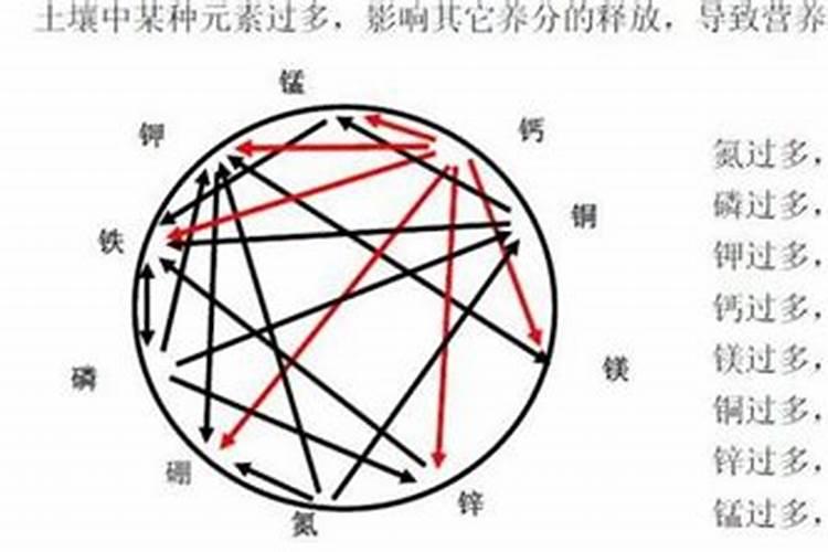 45岁吃什么钙片好