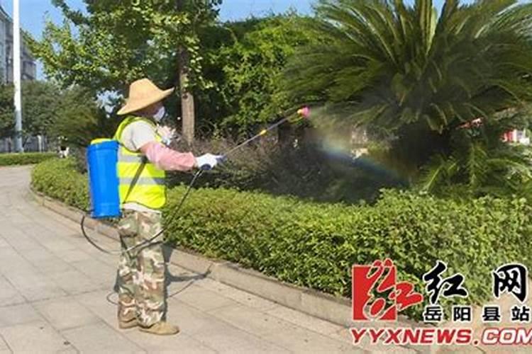 喷在花上叶子绿的滴油花叽里咕噜开锅!