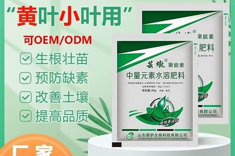 郁金香种球种植方法土培