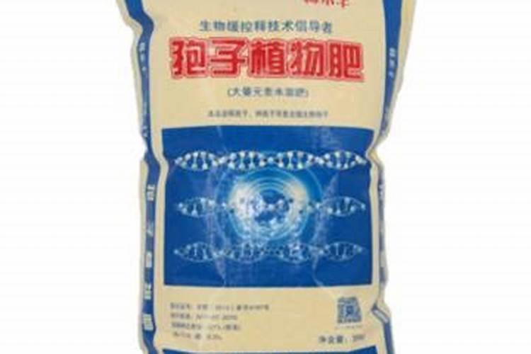 什么是泥炭土
