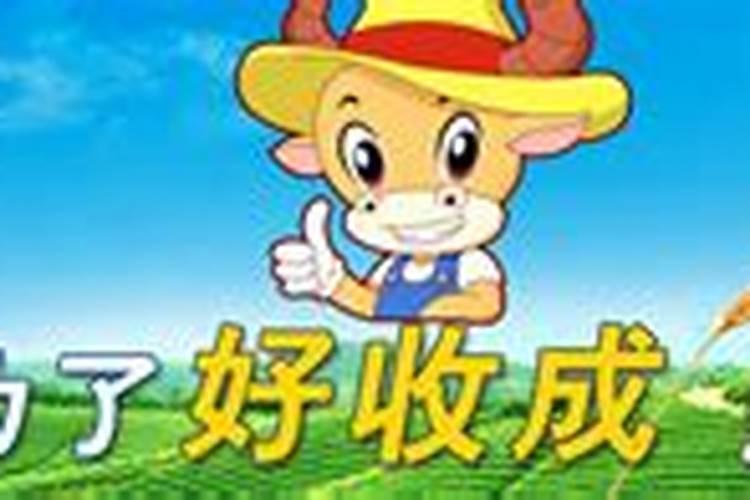 仿贝壳研制出“超强韧”的绿色材料,好处有哪些呢？