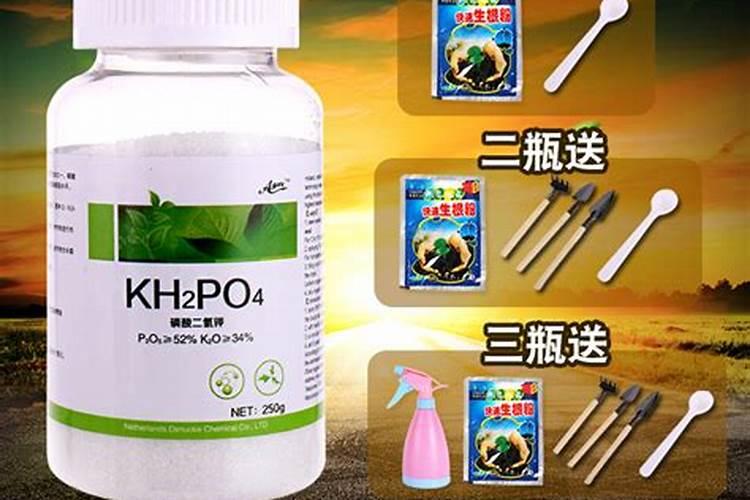 复合肥能不能给花上肥？