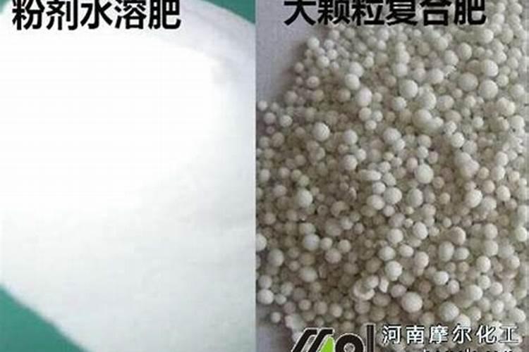 芒果树用什么肥料最好