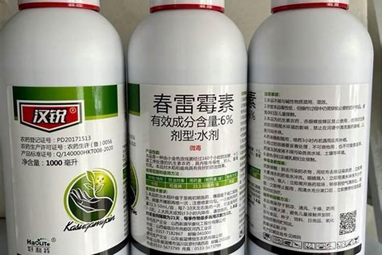 九层塔种植要注意什么