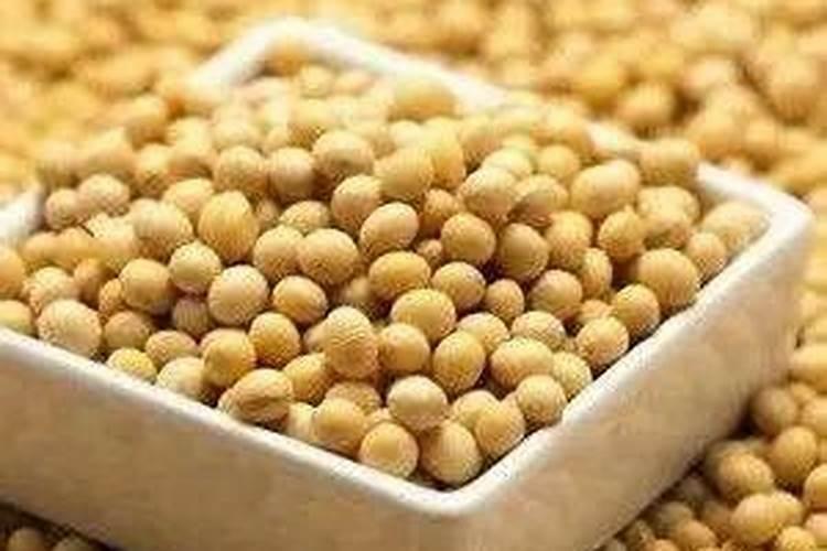 如何用大豆追肥