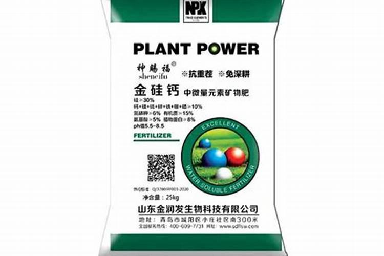 番茄应该怎样种植？在种植的时候用什么肥料最好？