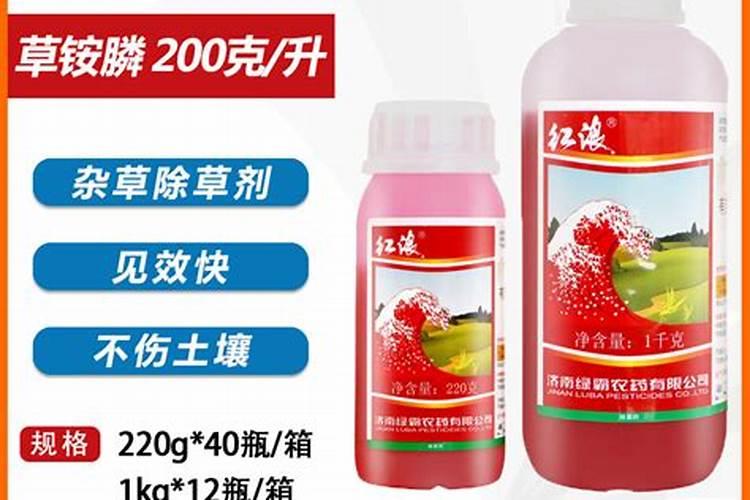 魔芋出土后怎么施肥和预防病虫害？