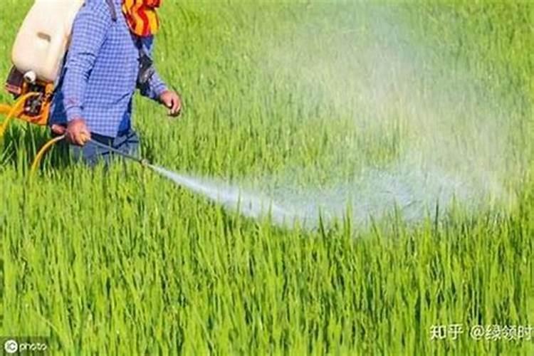 微生物肥料是什么 种类有哪些