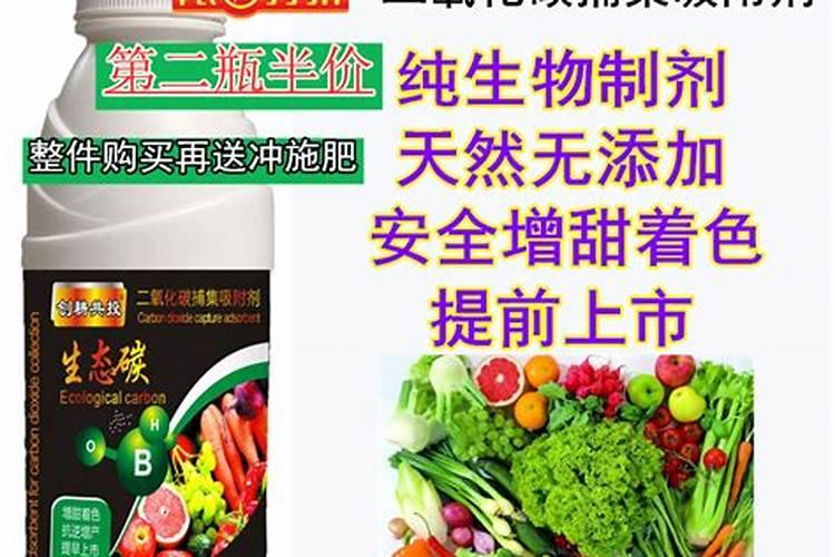 地龙是什么植物