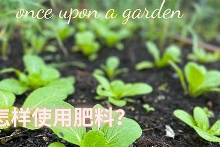 种花草的化肥有哪些