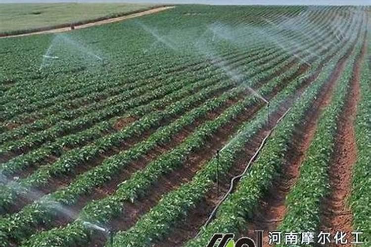 1升水溶肥等于多少克？