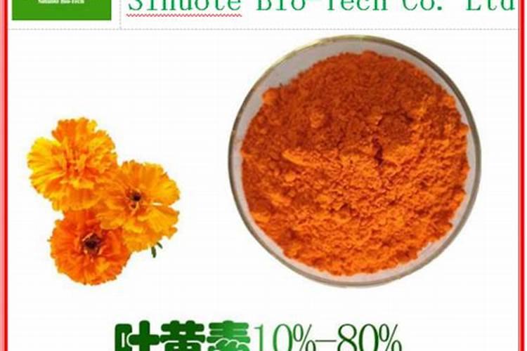黑糯玉米和黄糯玉米有什么区别？