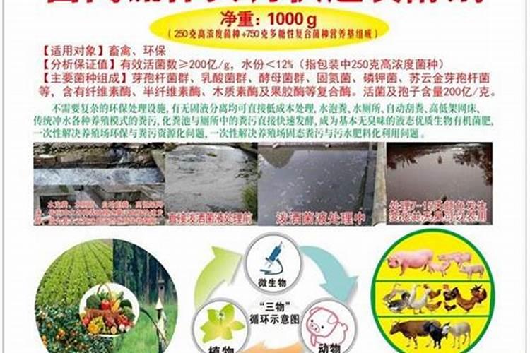 尿兑水浇菜正确方法 怎么做才正确