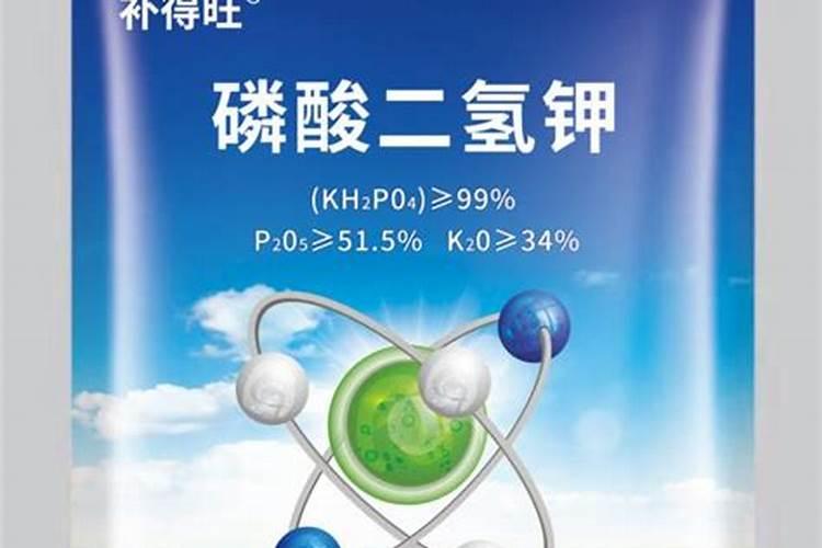 NOW诺奥 向日葵卵磷脂软胶囊健康营养品