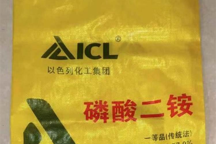 龙竹怎么养才能更旺盛