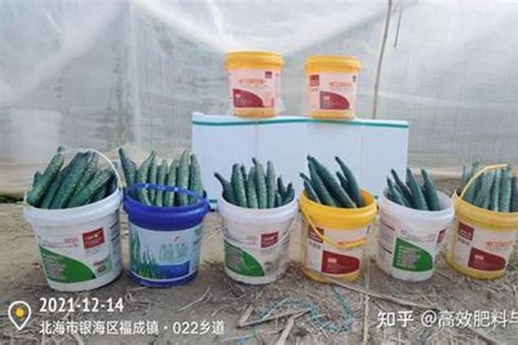 有虫眼的黄豆可以打豆腐吗？