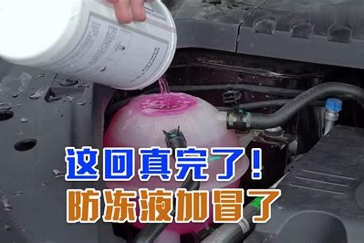 怎么给植物施肥 给花施肥的正确方法