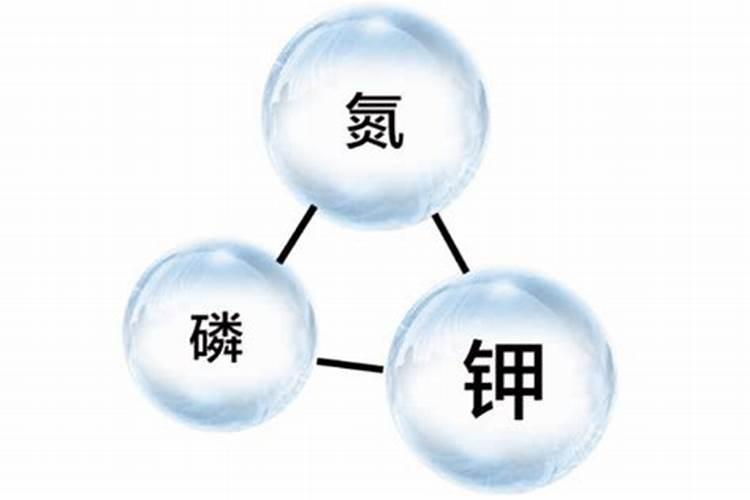 海藻鱼蛋白水溶肥料作用