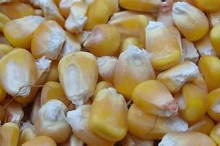 水溶肥到底怎么施用