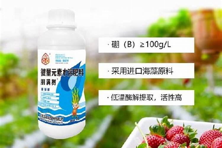 硼肥很难稀释,怎么做才能快？