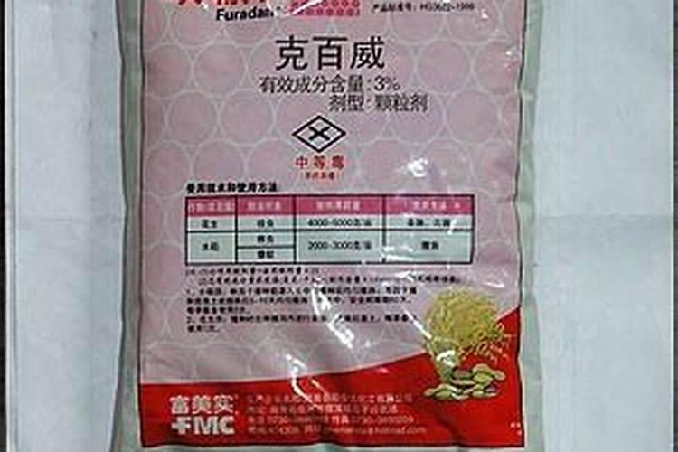 橙子树红蜘蛛打什么药好