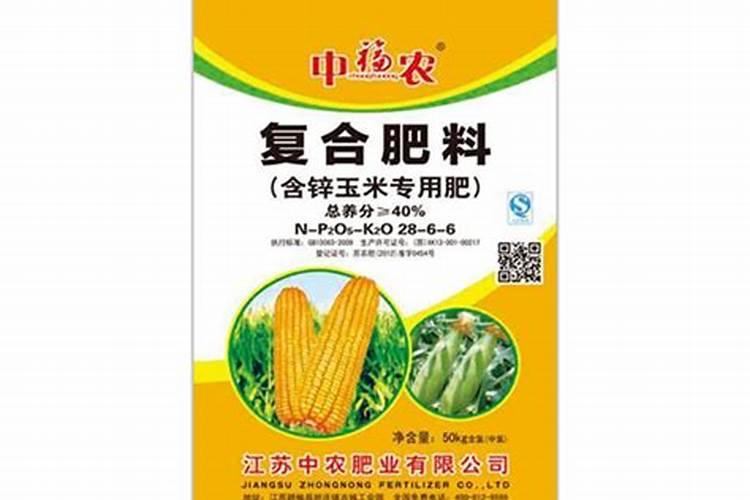 水果玉米的水果玉米品种介绍