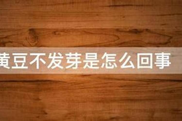 黄豆增产的方法有几种
