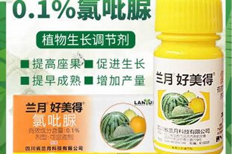 种植西瓜,如何避免西瓜出现裂果的现象呢？
