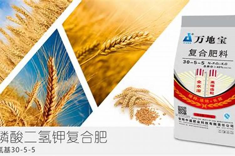 地里一直种树现在种小麦用什么肥料？
