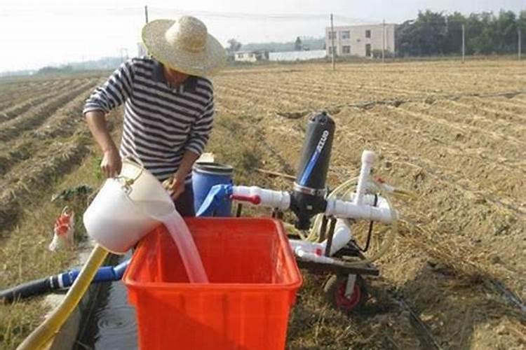 水溶肥冲施肥怎样用