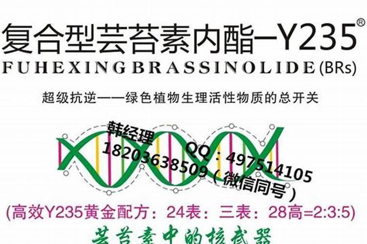 芸苔素内酯使用方法与用量