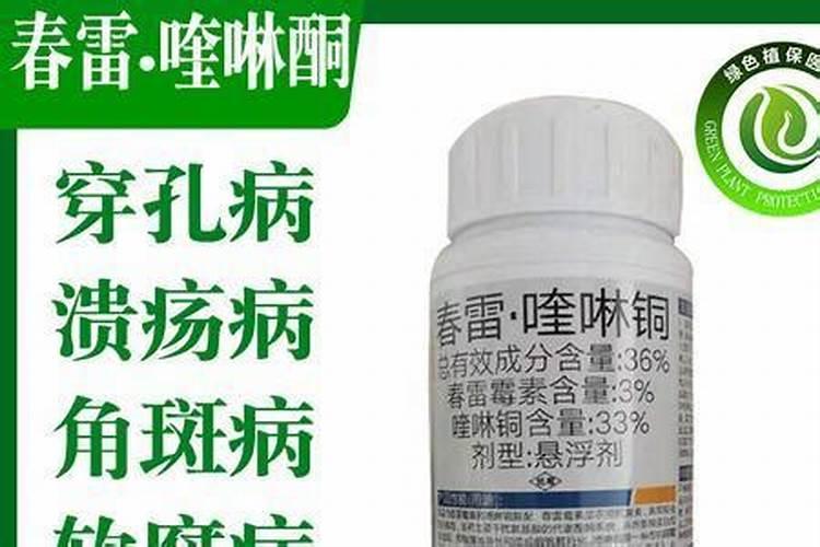茄子俗称的掉蛋是什么病引起的