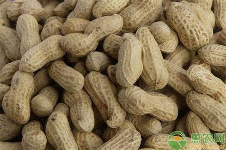 硼肥的用量、作用及使用方法