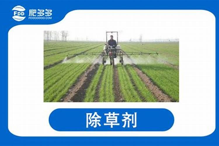 尿素可以喷施叶面肥吗