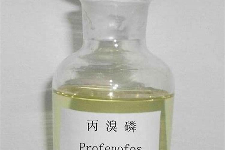 面瓜的种植技术