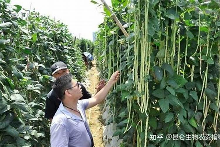 吃些什么能够补锌？男性应该怎么补？