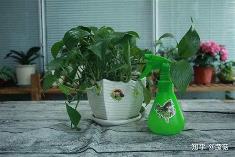 水稻用对于盐碱地硫酸钾好还是氯化钾好？