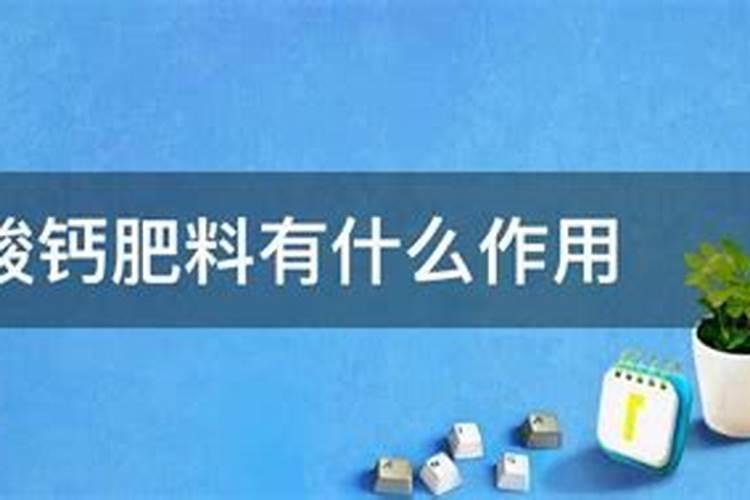 鱼蛋白肥料制作方法,附使用方法和注意事项
